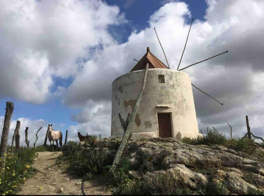La Torre Eco-Suite Vejer de la Frontera Buitenkant foto